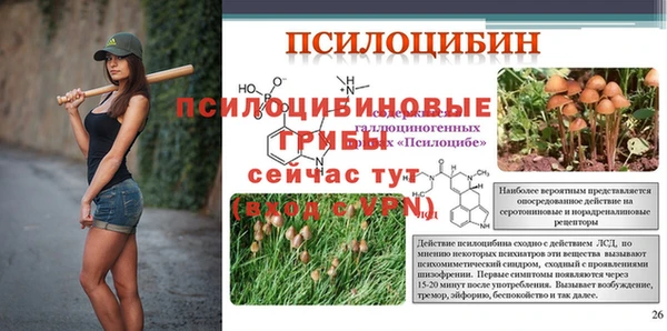 mdpv Армянск