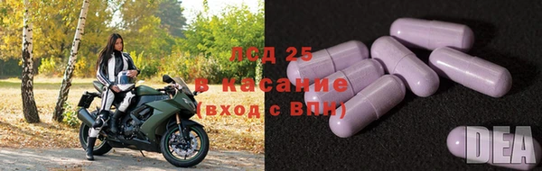 apvp Аркадак